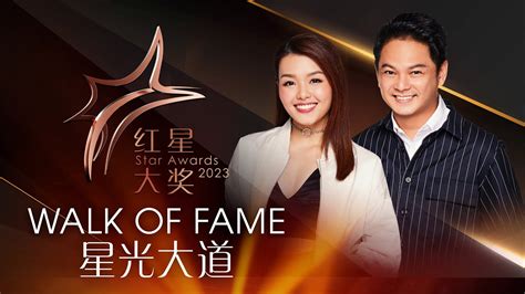 star awards 2024 singapore